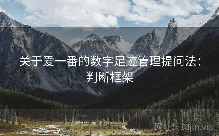 关于爱一番的数字足迹管理提问法：判断框架