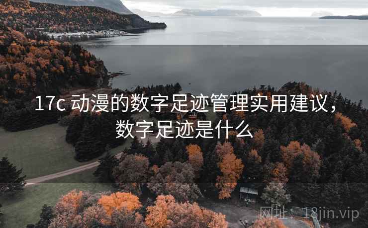17c 动漫的数字足迹管理实用建议，数字足迹是什么