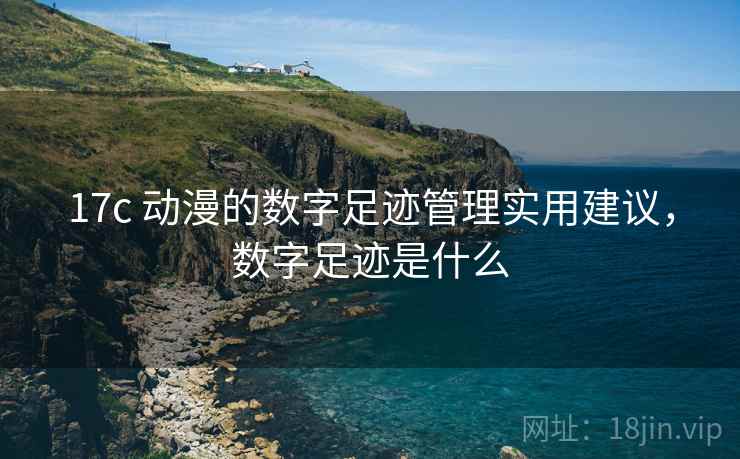 17c 动漫的数字足迹管理实用建议，数字足迹是什么
