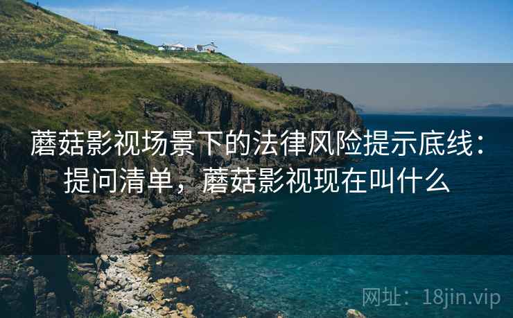 蘑菇影视场景下的法律风险提示底线：提问清单，蘑菇影视现在叫什么