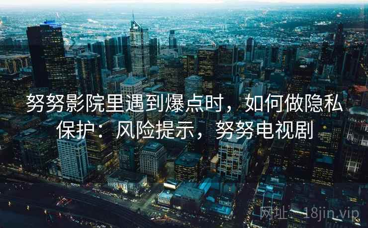 努努影院里遇到爆点时，如何做隐私保护：风险提示，努努电视剧
