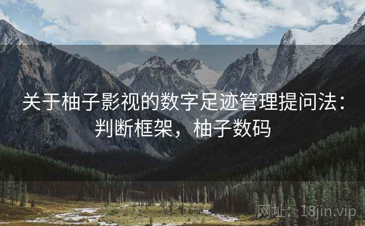 关于柚子影视的数字足迹管理提问法：判断框架，柚子数码