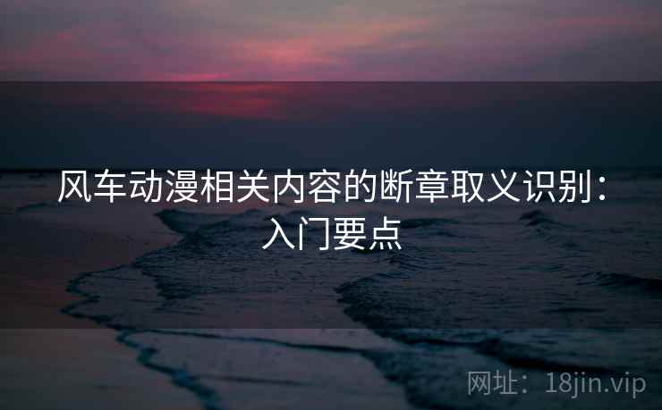风车动漫相关内容的断章取义识别：入门要点
