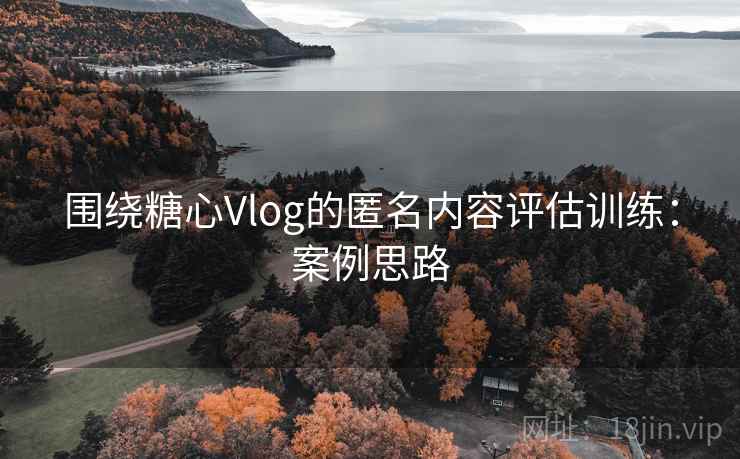 围绕糖心Vlog的匿名内容评估训练:案例思路 围绕糖心Vlog的匿名内容评估训练:案例思路